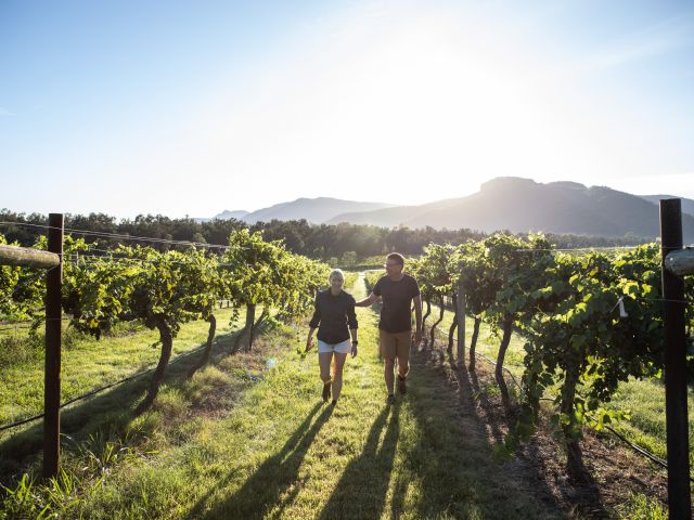 The Little Wine Company, Broke