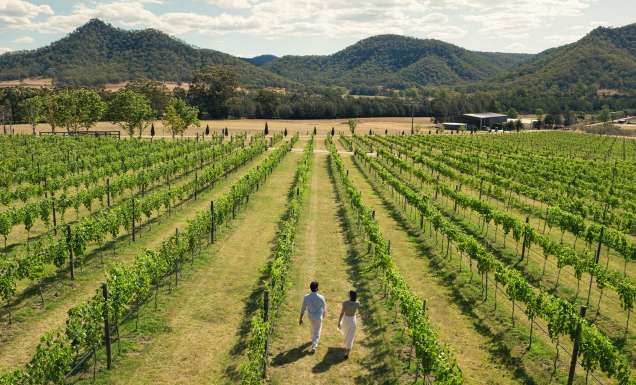 Krinklewood Winery, Broke