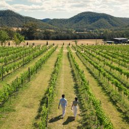 Krinklewood Winery, Broke