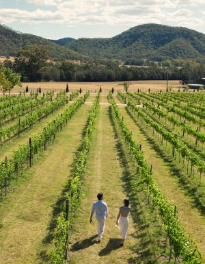 Krinklewood Winery, Broke