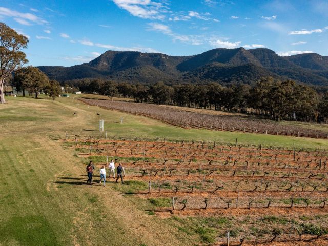 Tyrrell's Winery, Pokolbin