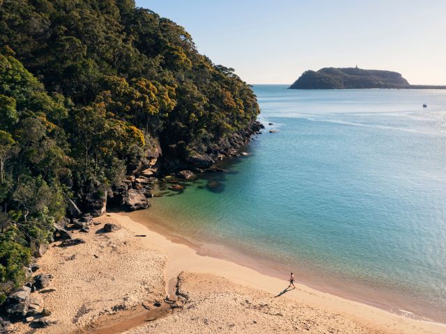 Resolute Beach Circuit Walk, Ku-ring-gai Chase National Park