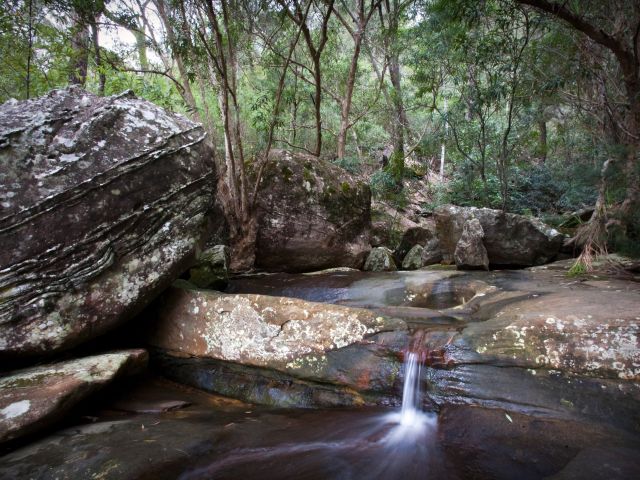 Berowra Creek, Benowie Walking Track