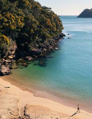 Resolute Beach Circuit Walk, Ku-ring-gai Chase National Park