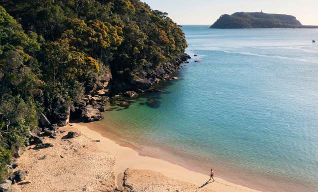 Resolute Beach Circuit Walk, Ku-ring-gai Chase National Park