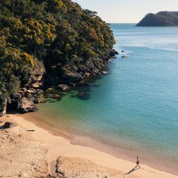 Resolute Beach Circuit Walk, Ku-ring-gai Chase National Park