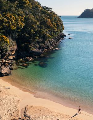 Resolute Beach Circuit Walk, Ku-ring-gai Chase National Park