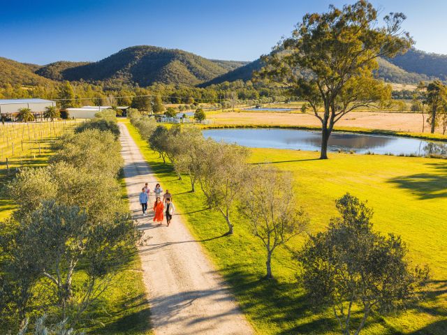 Krinklewood Winery, Broke from above