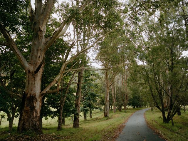 the driveway at Stonehurst Cedar Creek Vineyard