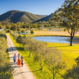 Krinklewood Winery, Broke from above