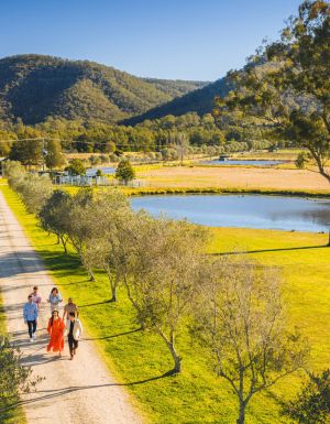 Krinklewood Winery, Broke from above