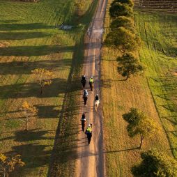 the Hunter Valley Horses from above