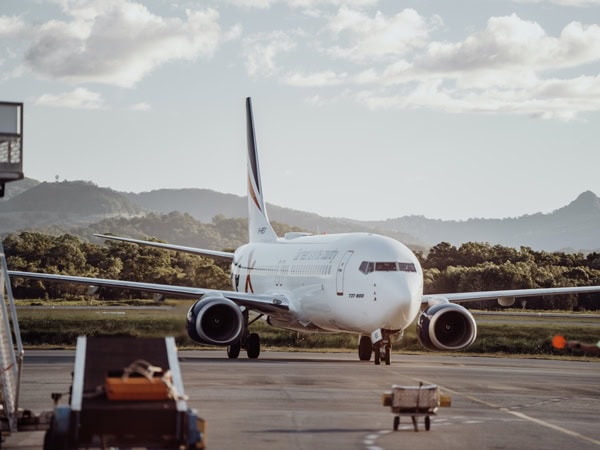 Rex flight on ground