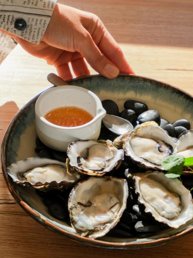 a plate of oysters being served at Ethos at Alsahwa Estate