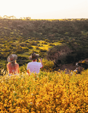 Coalseam Conservation Park