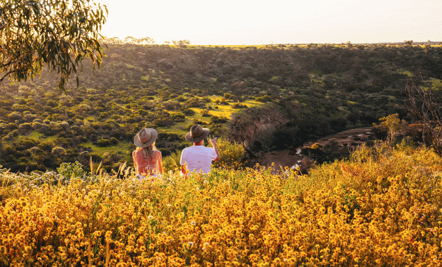 Coalseam Conservation Park
