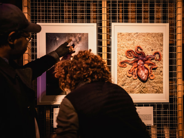 admiring artwork during the Beaker Street Festival, Hobart
