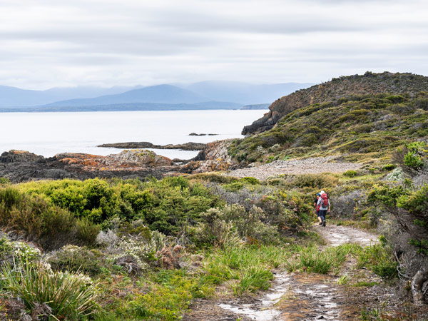 the rugged coastline of Bruny Island