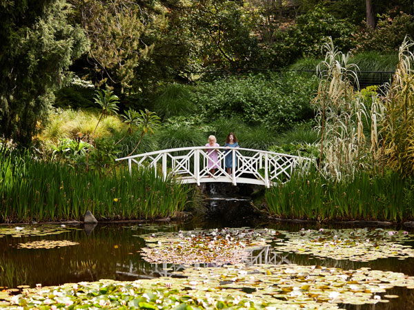 two little girls standing on a bridge at Royal Tasmanian Botanical Gardens