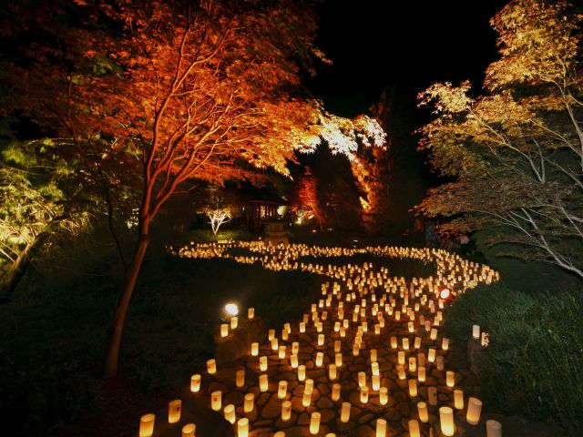 Nara Candle Festival in Canberra, ACT