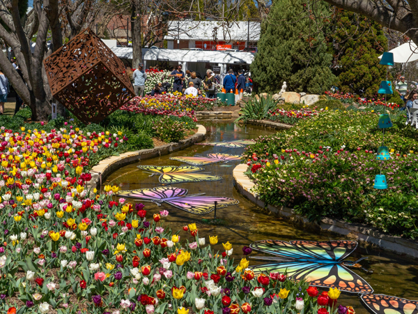 Tulip Time Flower Festival in Bowral, NSW