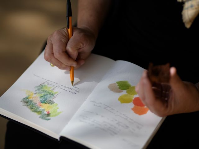 Mount Lofty Botanic Garden art class, SA
