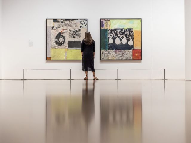 a woman admiring artworks at The Queensland Art Gallery | Gallery of Modern Art (QAGOMA)