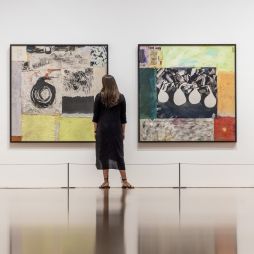 a woman admiring artworks at The Queensland Art Gallery | Gallery of Modern Art (QAGOMA)