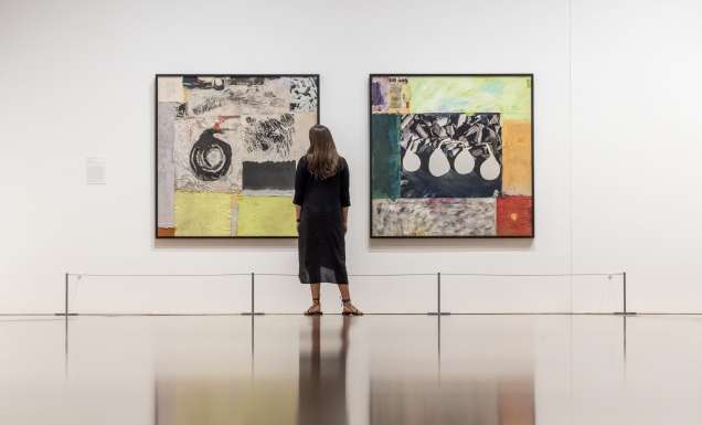 a woman admiring artworks at The Queensland Art Gallery | Gallery of Modern Art (QAGOMA)
