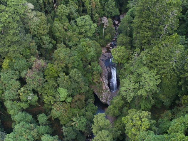 Purling Falls in Springbrook National Park