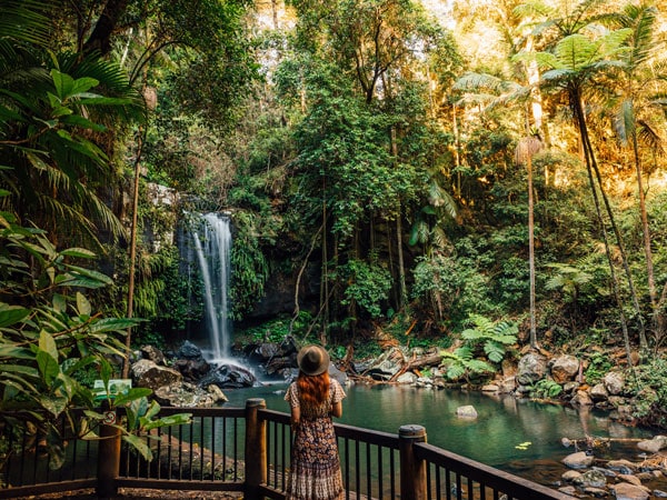 a woman admiring Curtis Falls in Brisbane