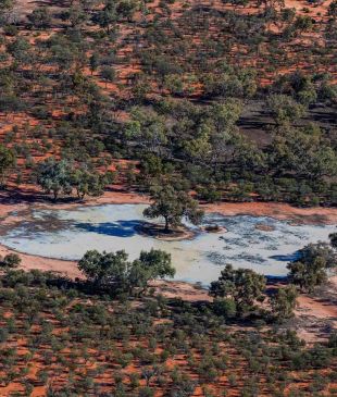 <p><strong>NSW</strong> has scored a <i>stunning new national park</i></p>
