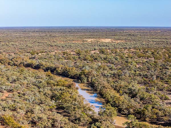 Cuttaburra National Park