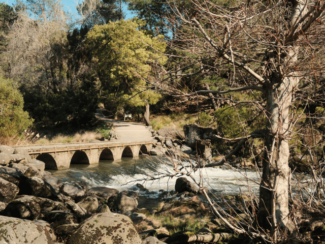 cataract gorge