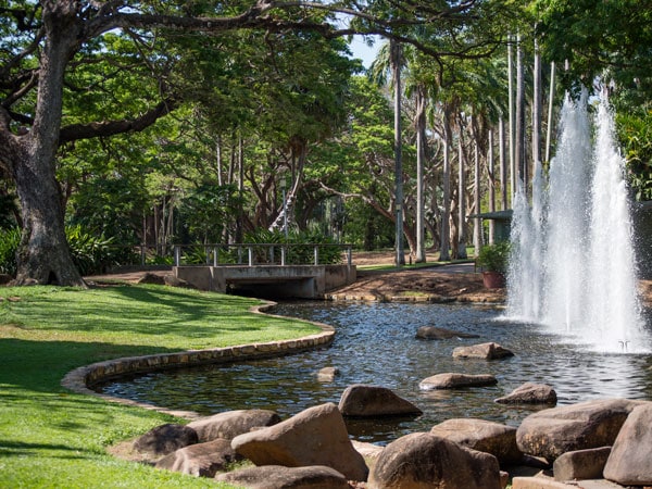 a fountain at George Brown Darwin Botanic Gardens