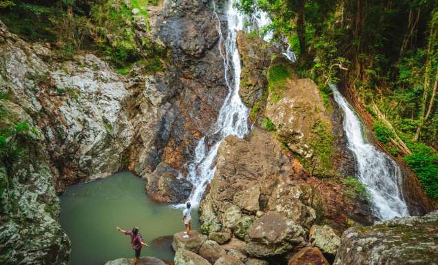 the swimming hole at Kondalilla Falls, Brisbane