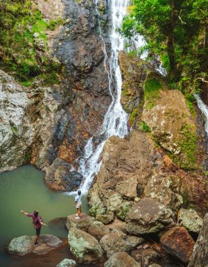the swimming hole at Kondalilla Falls, Brisbane