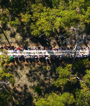 <p>15 <i>stunning</i> spring festivals around <strong>Australia</strong></p>
