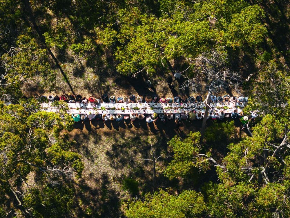15 stunning spring festivals around Australia - Australian Traveller