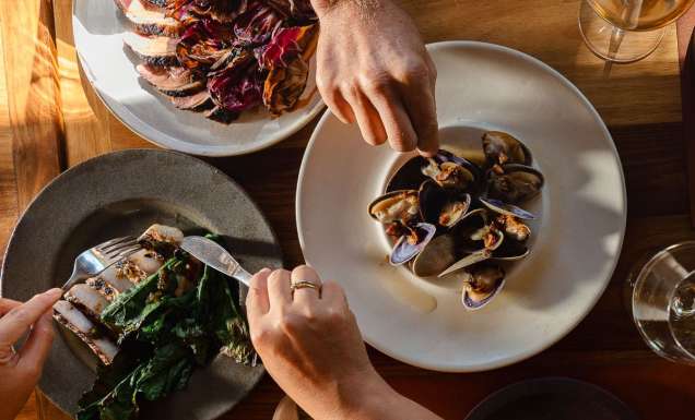 Series of dishes at Savour The Tweed festival in the Tweed