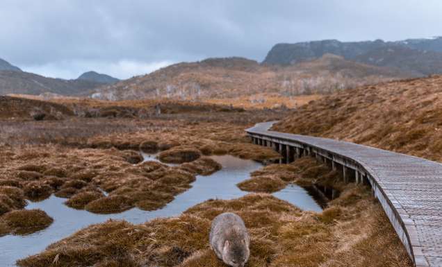 most unforgettable walks and hikes