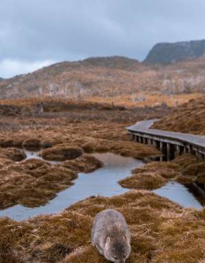 most unforgettable walks and hikes