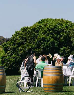 Coonawarra Cabernet Celebrations in South Australia