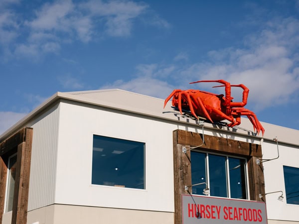 the Hursey Seafoods in Tas