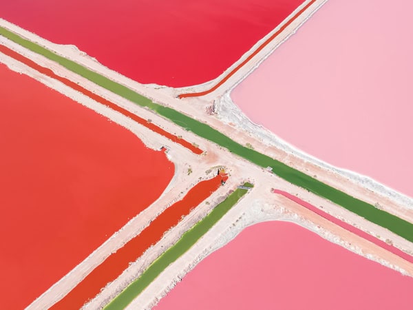 different shades of pink at Hutt Lagoon