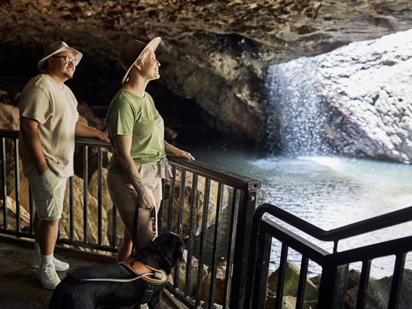 visitors admiring the waterfall at the Natural Bridge in the Springbrook National Park, Brisbane