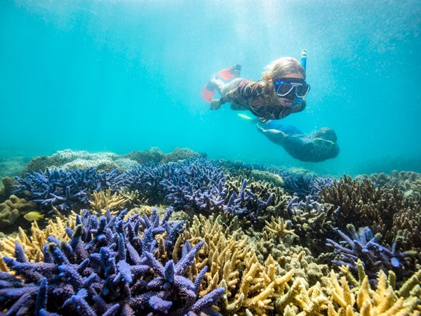 snorkelling at Whitsunday Islands with Ocean Rafting