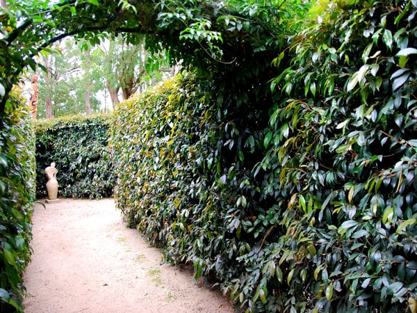 one of the entry points at SkyHigh Maze, Mount Dandenong