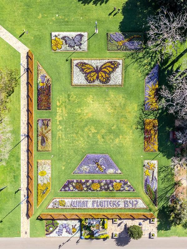 Toowoomba Carnival of Flowers in Toowoomba, Queensland