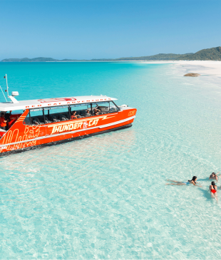 <p><i>The best tours</i> in <strong>Airlie Beach</strong> for your next getaway</p>
